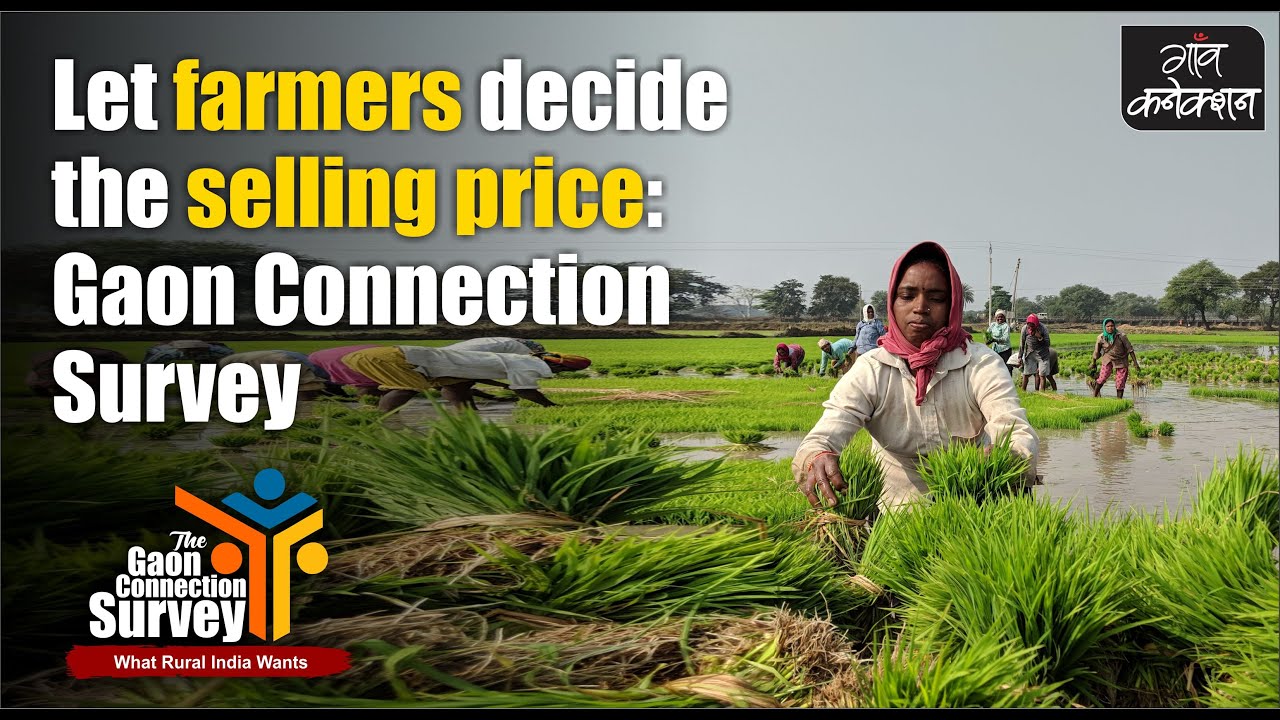 43.6% said farmers not getting fair price for their crops is a big issue : Gaon Connection Survey