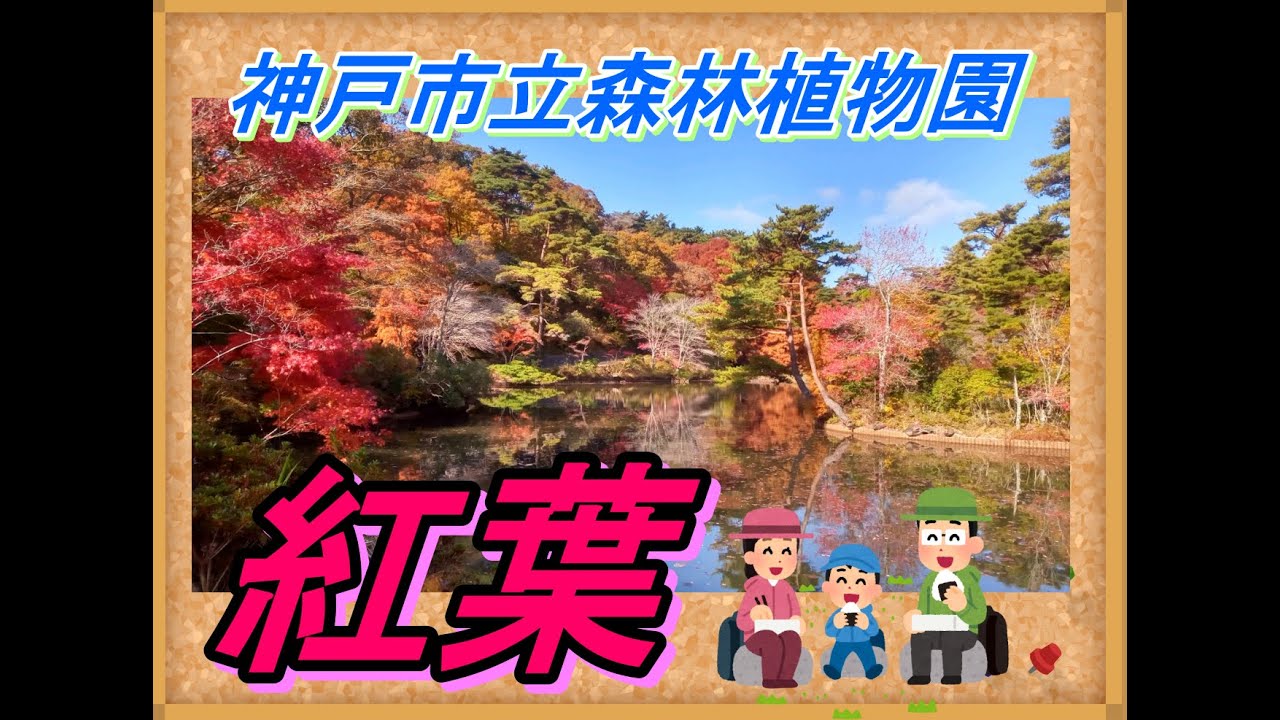 神戸市立森林植物園　紅葉