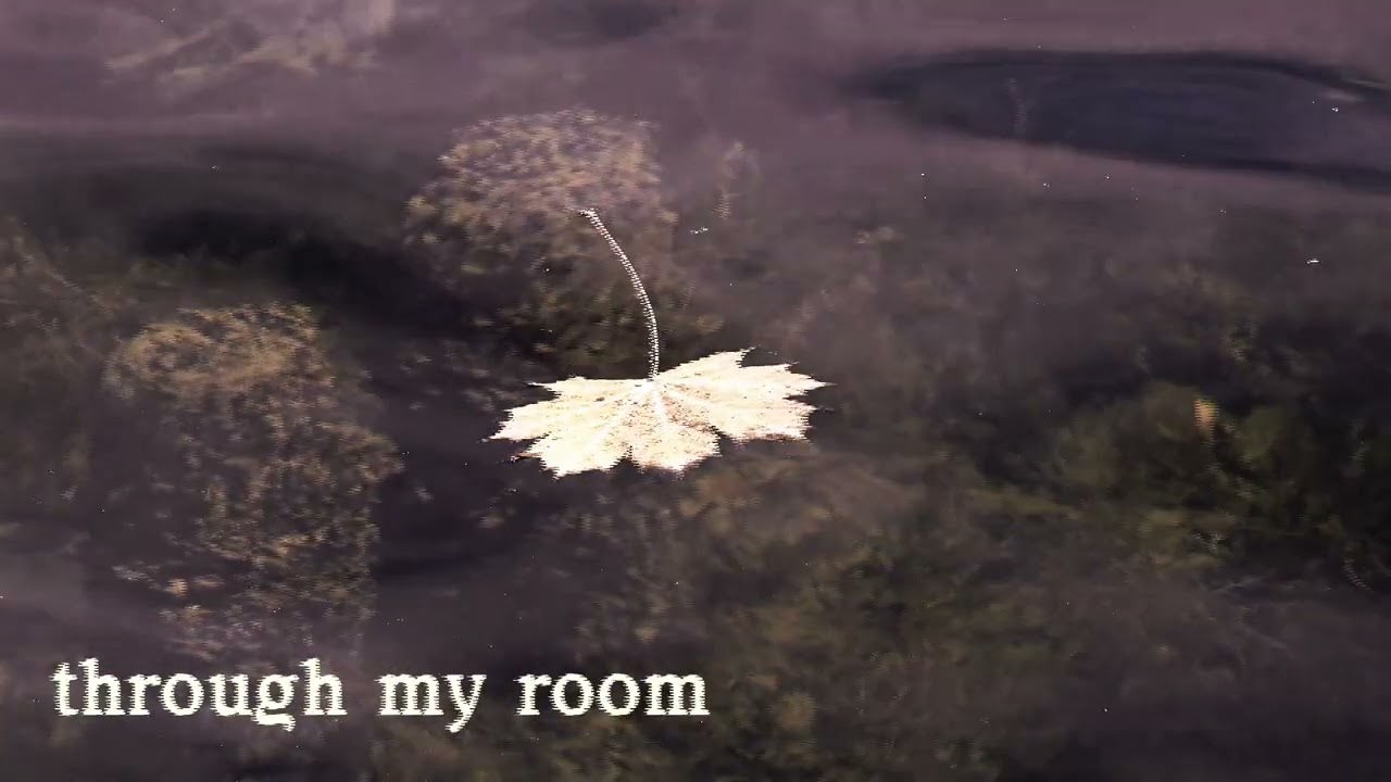 maycey - walking through my room