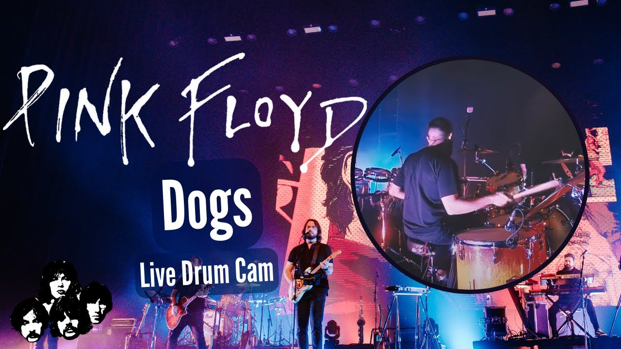 Pink Floyd - Dogs | Drum Cover | Pevas Costa | [Drum Cam]