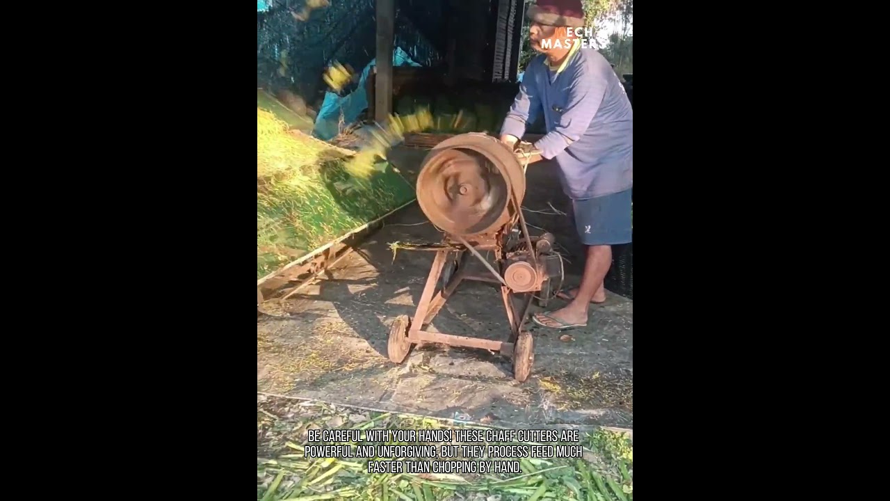 I love this video so much #shorts #funny #fails