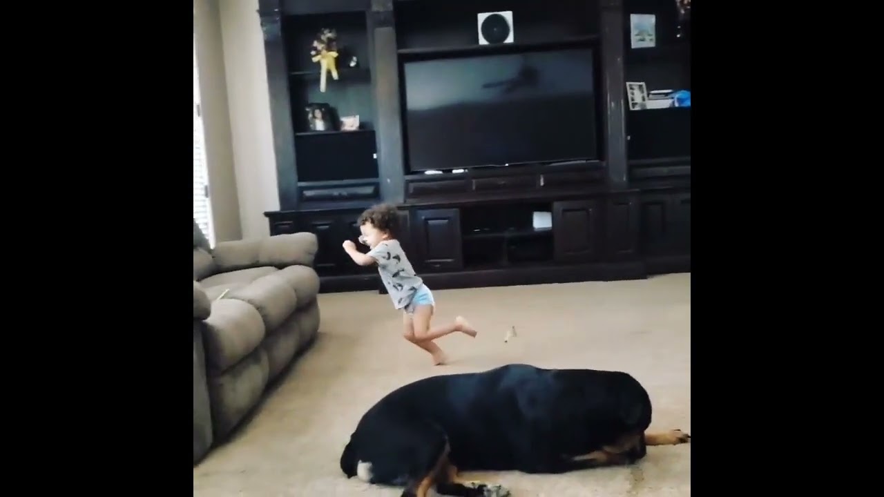 Dramatic Kid and Nerf
