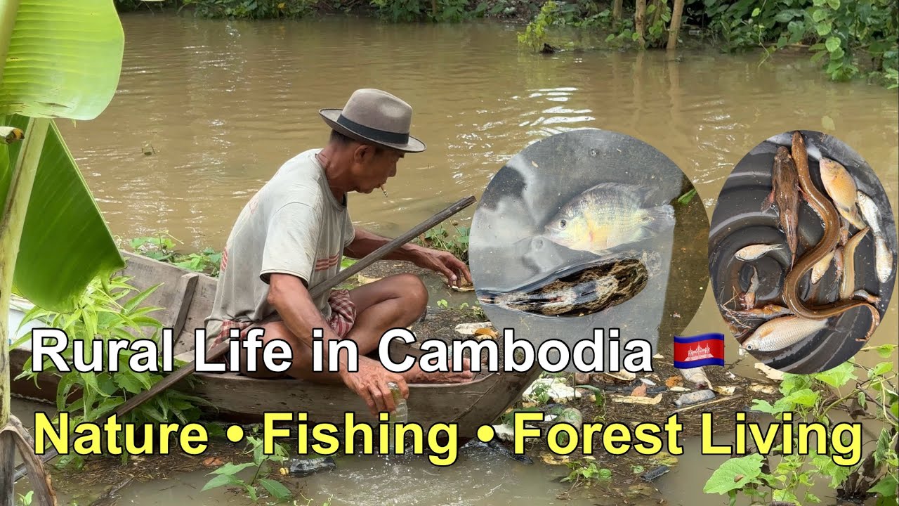 Fishing in the Cambodian Countryside | Catching Fish, Eels & Field Mice in Peaceful Nature 