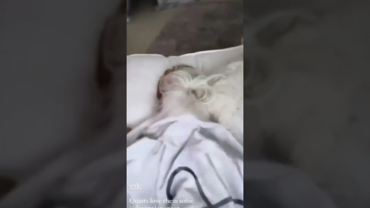 Riley's Favorite Pimple Popper Moments!