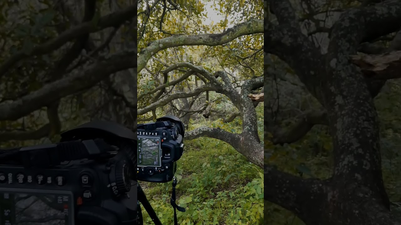 The super mysterious place in the world 