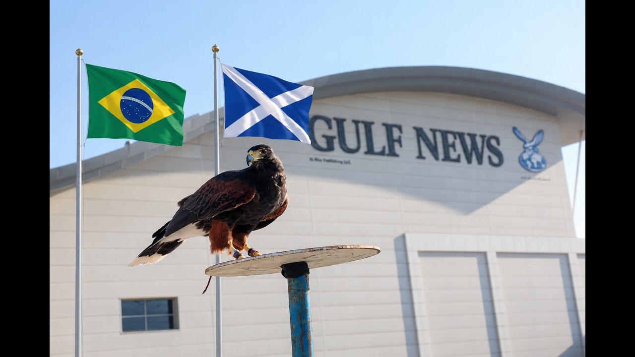 World Cup 2026: Shawk the hawk predicts Brazil vs Scotland
