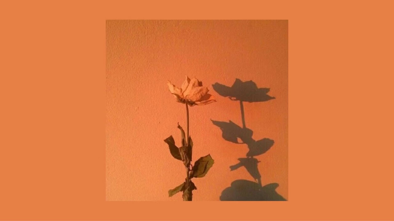 nf - wait (slowed)