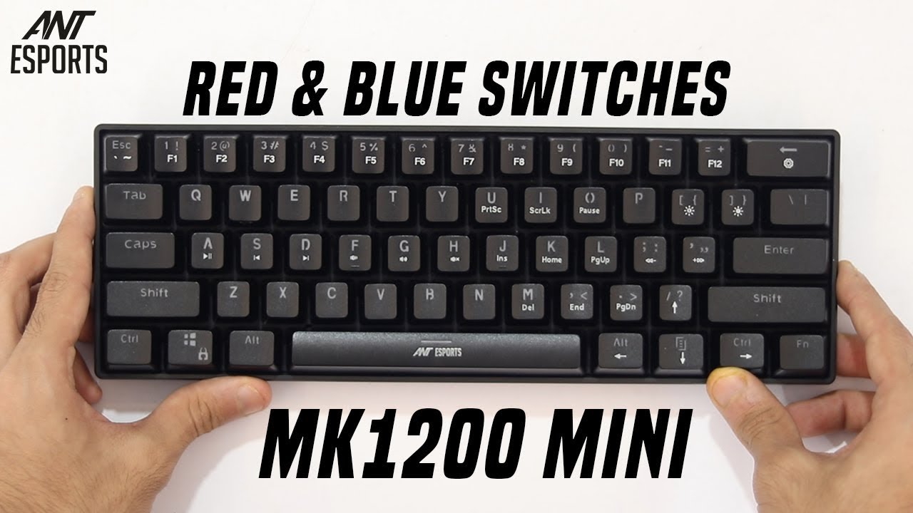 Finally Got My First Gaming Keyboard! | Ant Esports Mk1200 Mini Review 💻