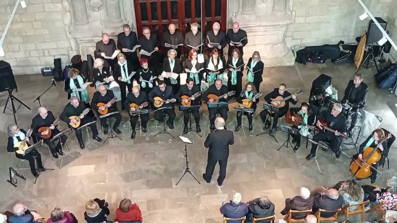 Voces y Cuerdas en el Museo de Jaén - Hadira Plectro - 22 nov 2025