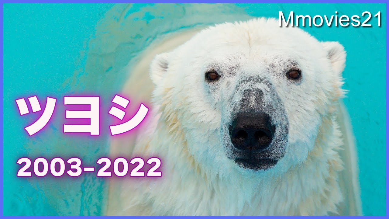 ホッキョクグマ「ツヨシ」ありがとう18年のヒストリーTsuyoshi the Polar Bear