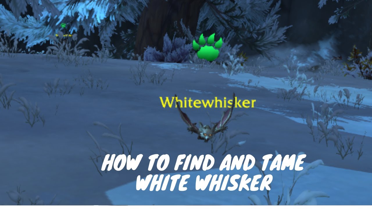 How to find and tame White Whiskers in Dragonflight