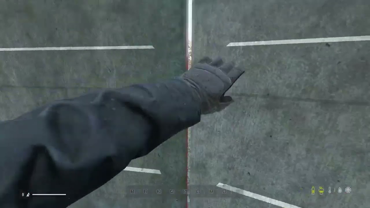 Dayz