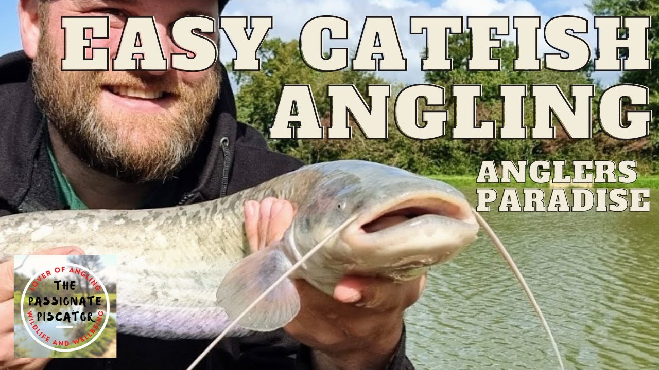 Anglers Paradise - Easy Cat Lake Catfish Catching
