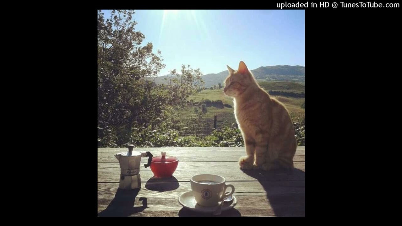 (free) zanelynchetti + seanpotter + mh + type beat - 