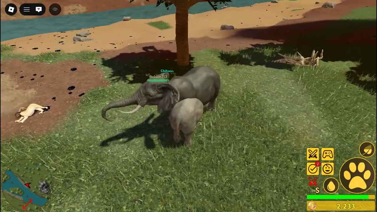 pelea contra elefante  {sale mal}