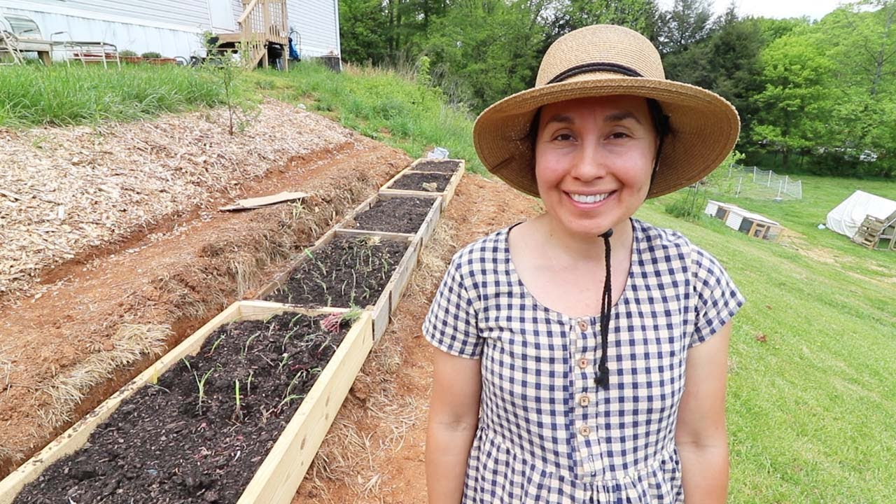 She was Determined to Plant 250 Onions on her Terraced Hill