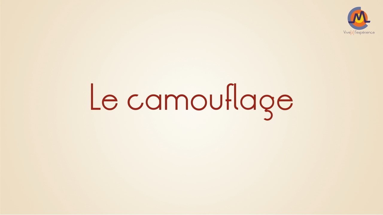 Le camouflage