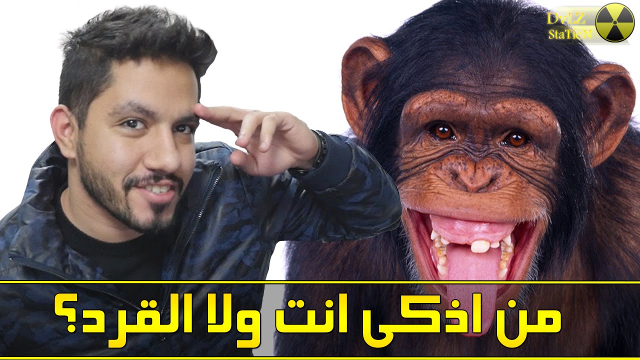 من اذكى انت ولا القرد؟ Beat the chimp