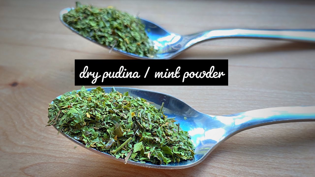 How to make dried mint | dry mint leaves in microwave | pudina powder at home