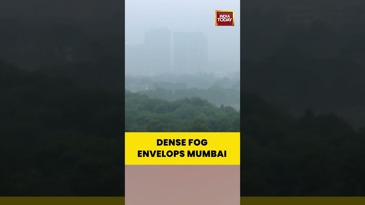 Fog Blankets Mumbai: Low Visibility as Wadala Covered Under Dense Haze | #mumbai #coldwave