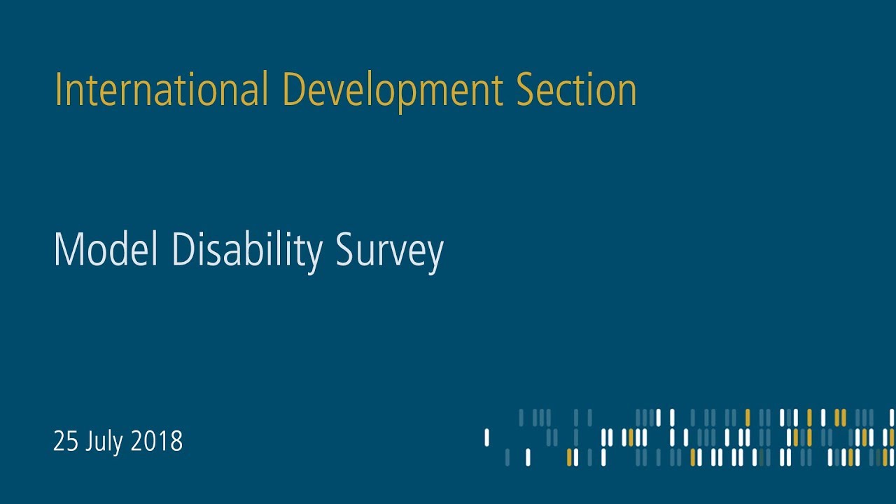 Model Disability Survey - Making disability visible in statistics (Part 1)