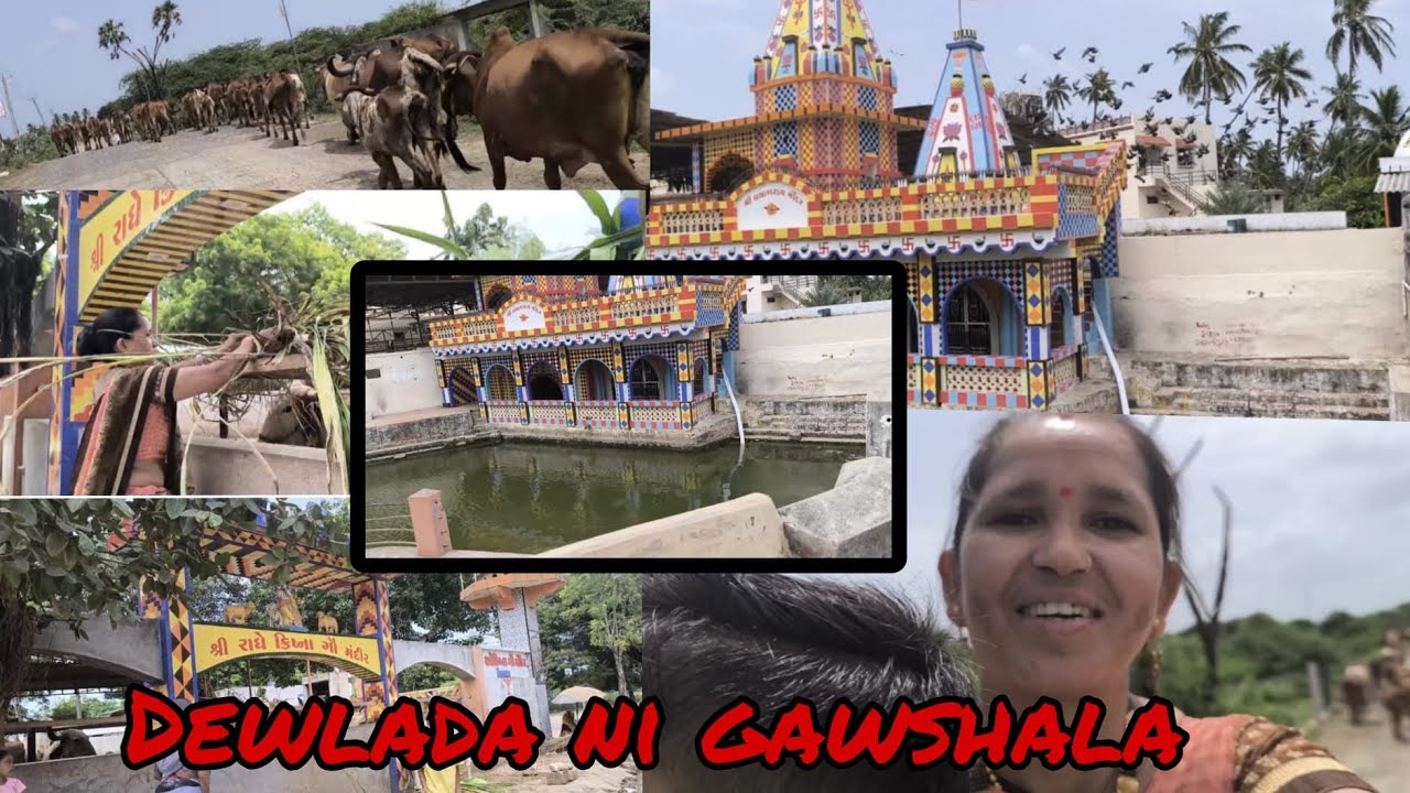 શ્રી રાધેકિષ્ના ગૌ મંદીર દેલવાડા#shree radha krishna gaushala mandir delwada