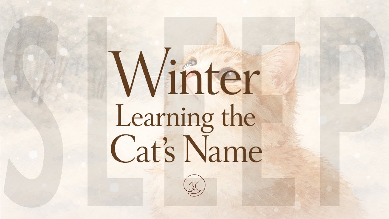 Winter Learning the Cat’s Name · 猫の名前を覚える冬 | Cozy LoFi for Sleep, & Gentle Bonds | NekoYume
