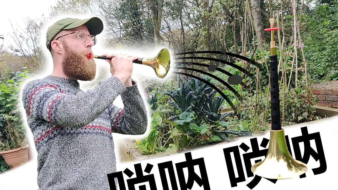 Try playing this traditional Chinese Instrument?!?!