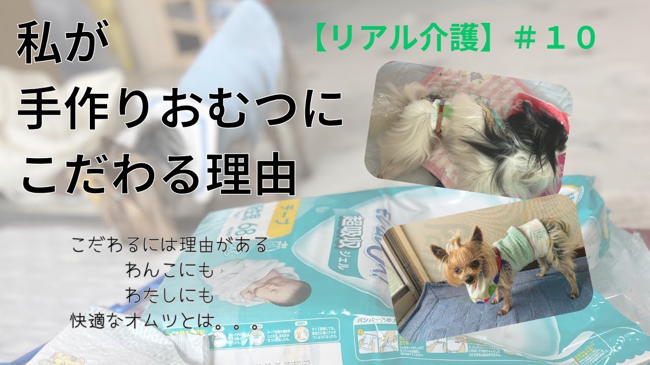 【老犬介護】19歳8ヶ月のパピヨン秀君｜14歳1ヶ月ヨーキー小次郎｜私が手作りおむつにこだわる理由【＃10】