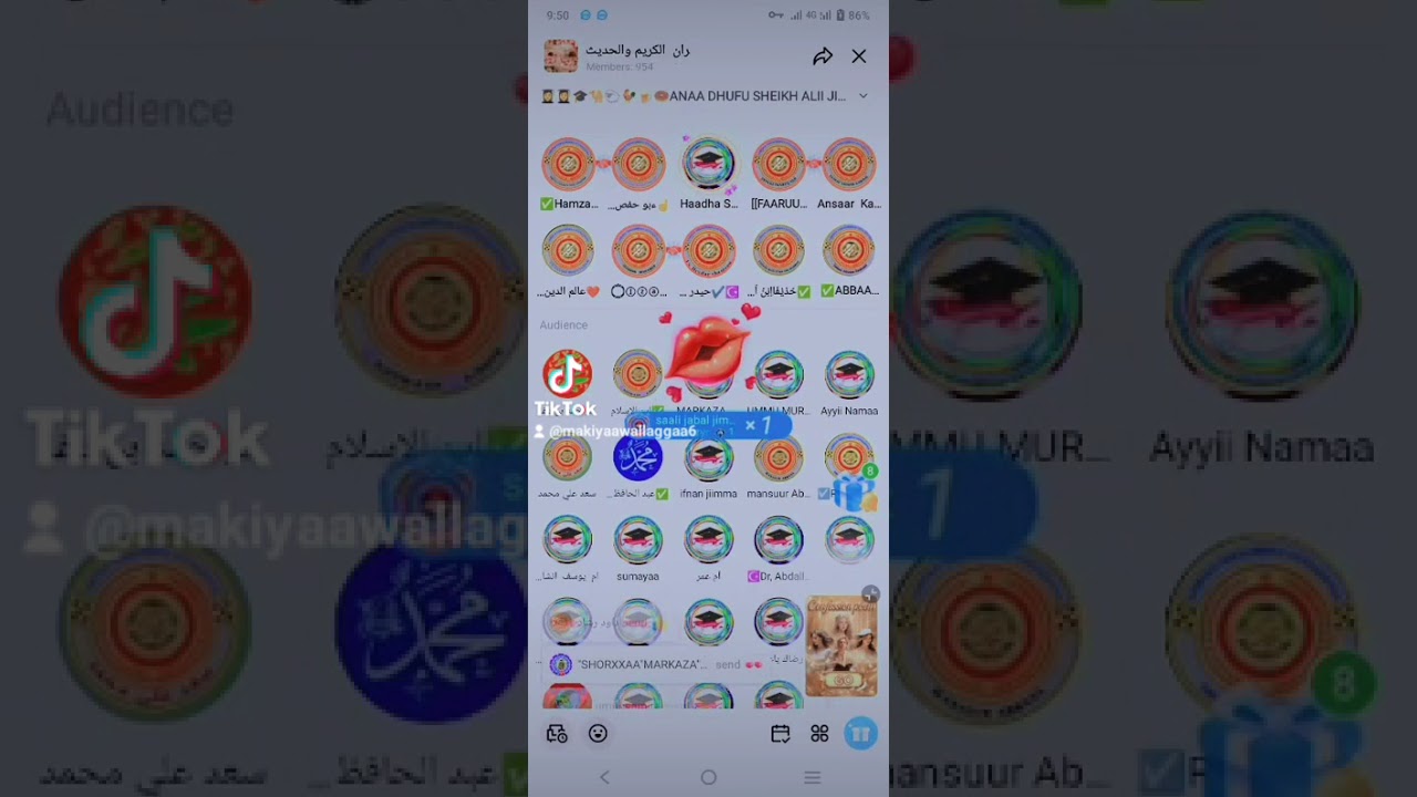 walaloo eebbaa qur'aanaa
