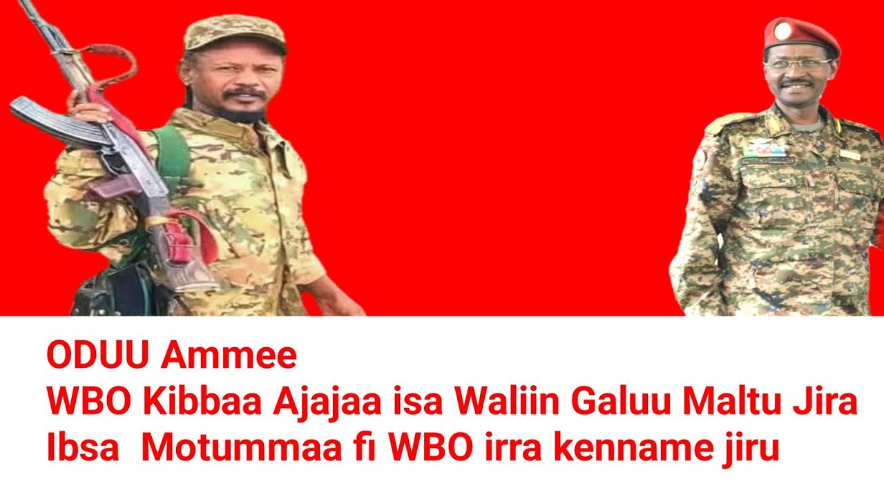 WBO Kibbaa Ajajaa isa Waliin Galuu Maltu Jira kuno | Moha Oromo 