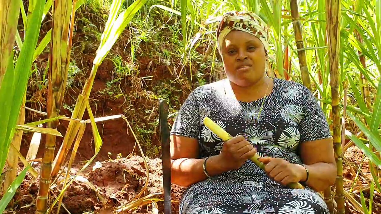 Njeri wa Muigai aciaritwo e mwana wina wathe wa mwiri..