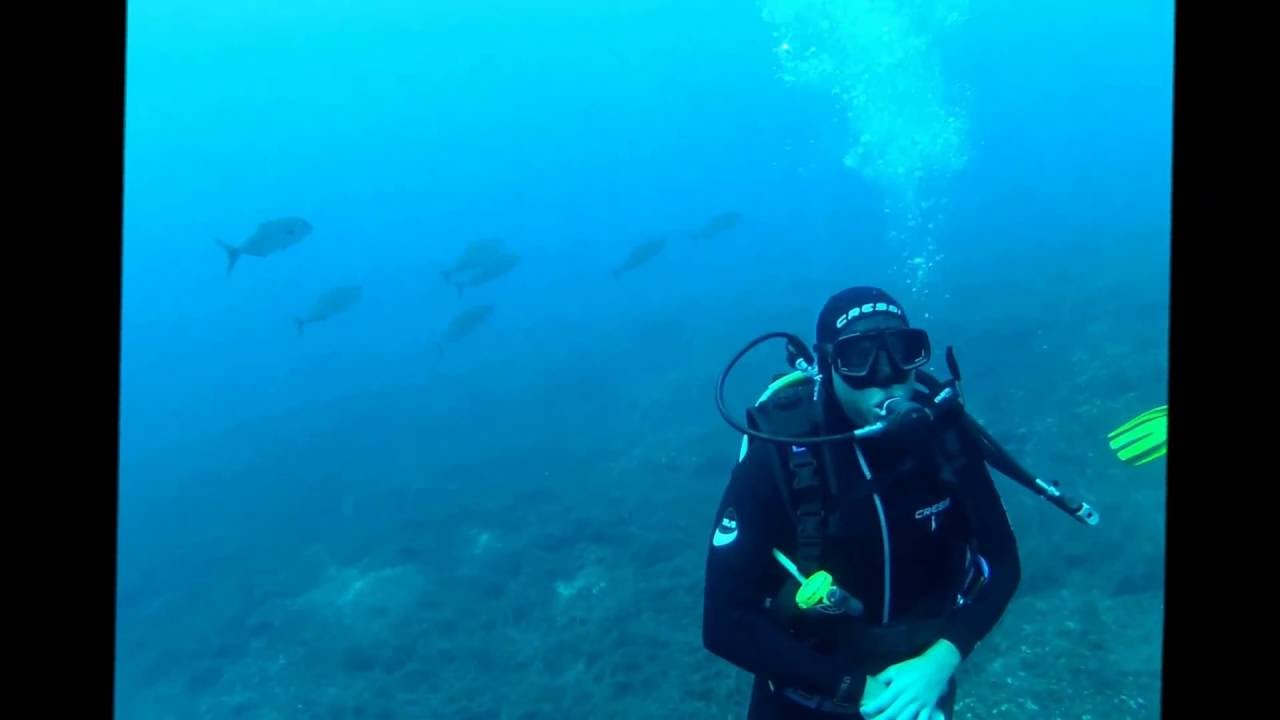 National Marine Park of Greece - Amberjacks as well hunt sardines!!!