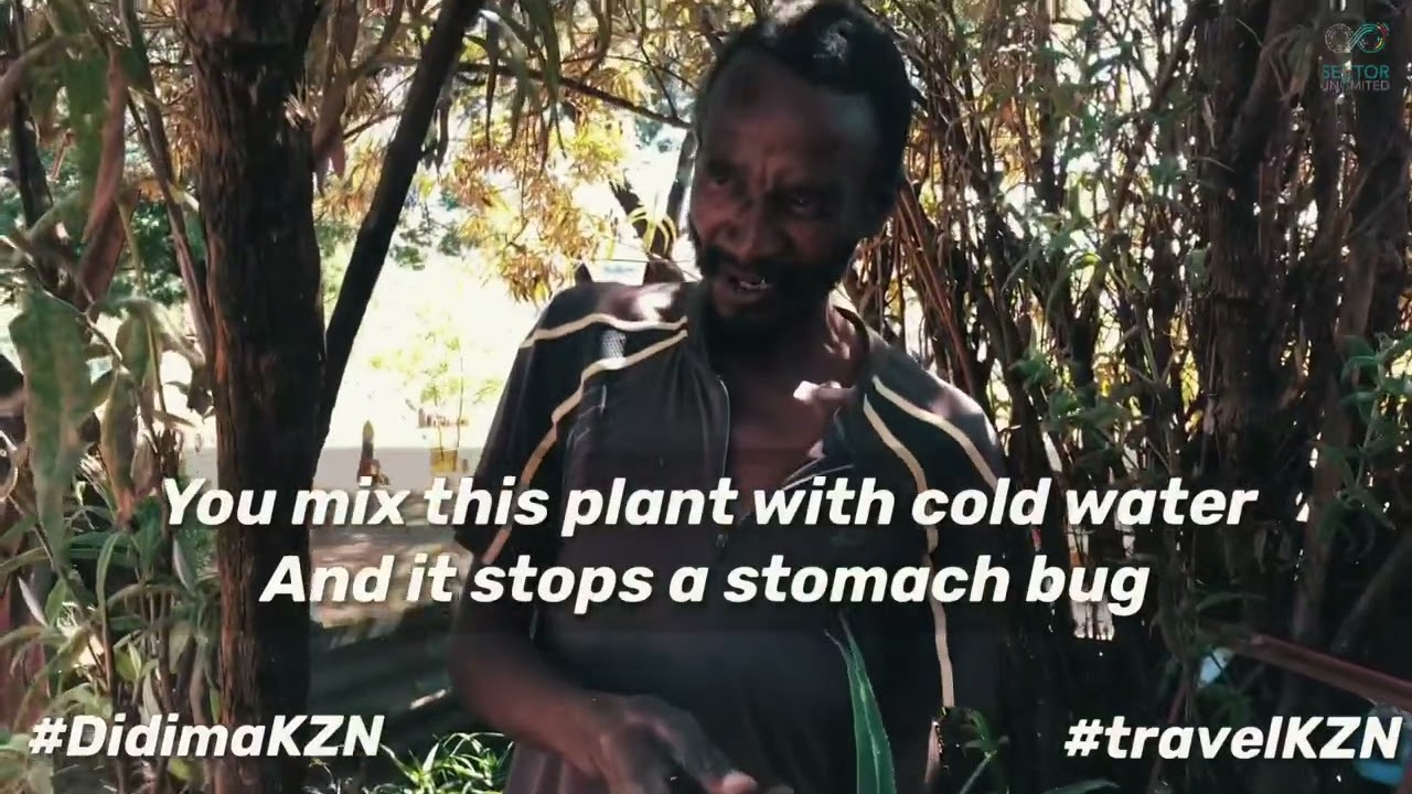 UMathithibala is a plant you must have around your house