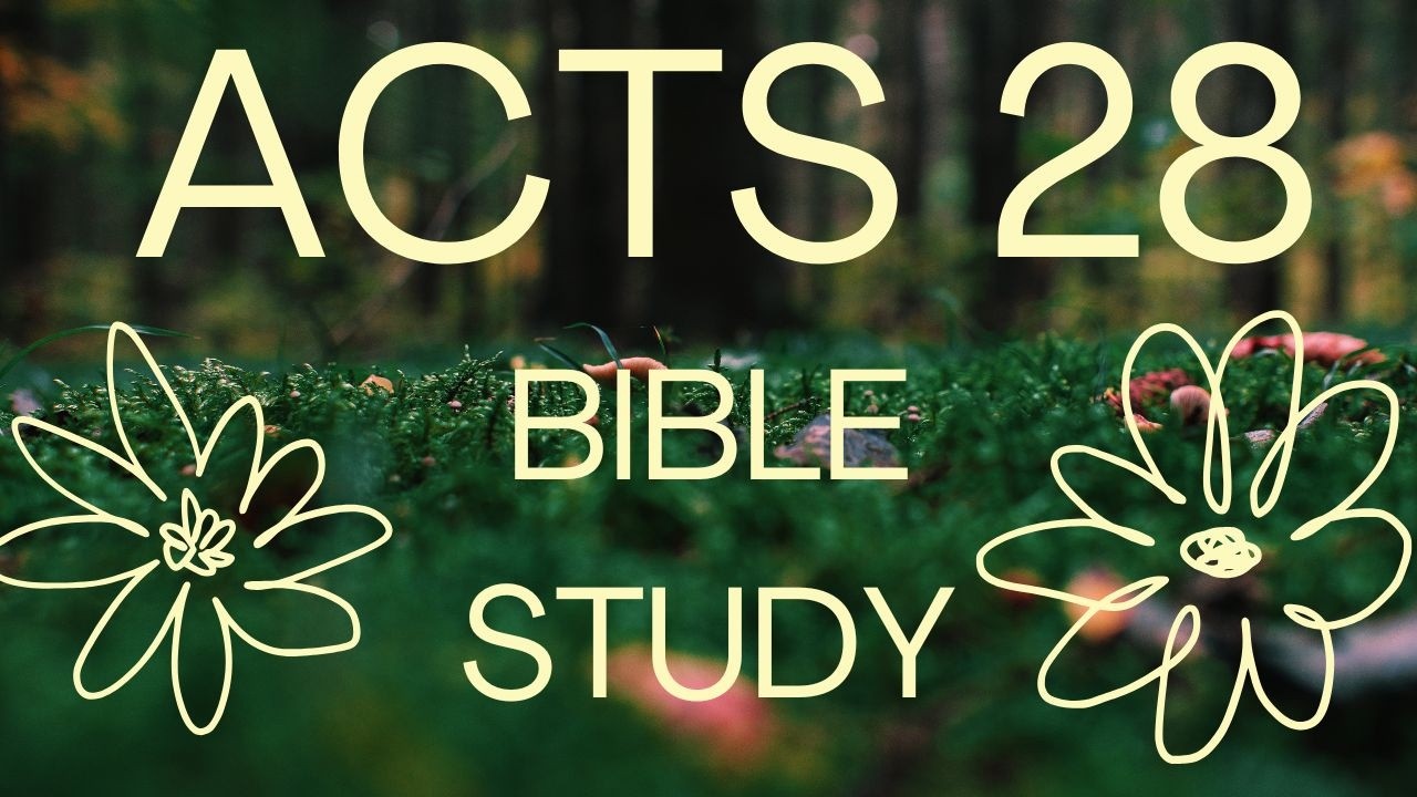 Acts 28: Detours, Delays, and Divine Appointments
