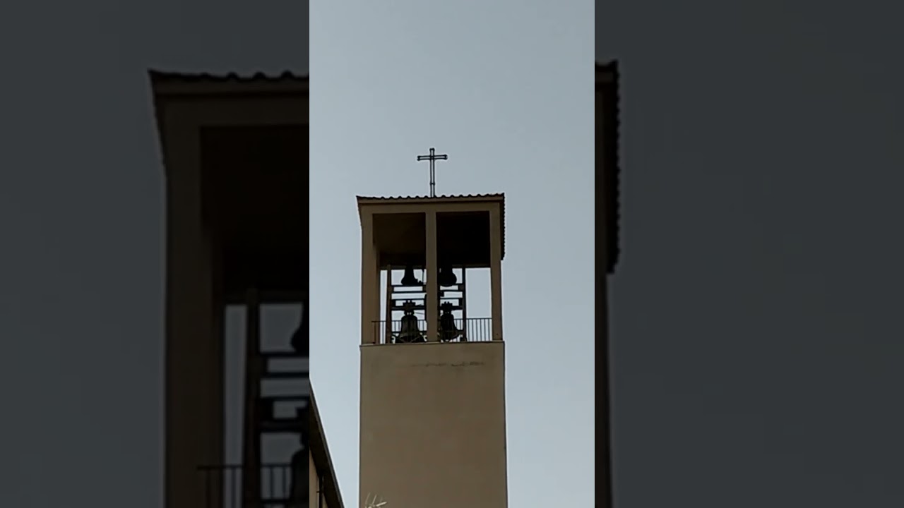 Campane santissimo sacramento distesa festiva