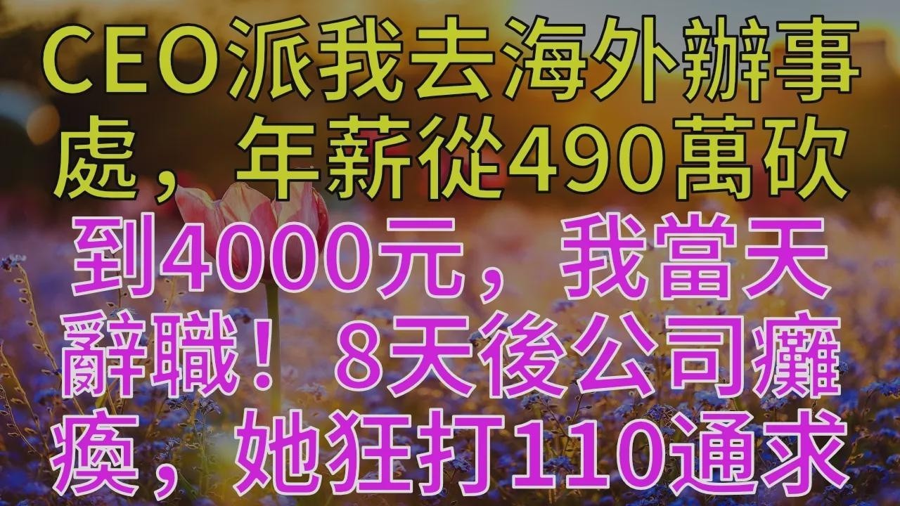 CEO派我去海外辦事處，年薪從490萬砍到4000元，我當天辭職！8天後公司癱瘓，她狂打110通求我回去！