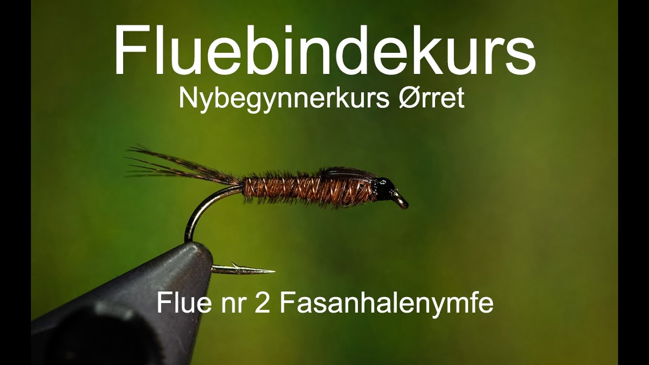 Fluebindekurs del 2. Fasanhalenymfe.