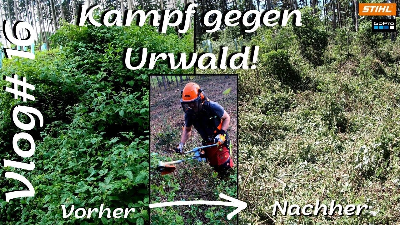 Vlog#16 Stihl FS 490 Häckselmesser Shredcut / Mulchmesser Freischneider
