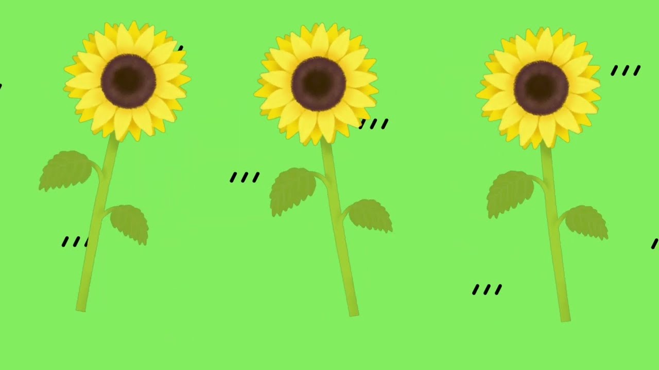 Bloemenliedjes | Nederlands | leerzame liedjes | Peuterliedjes | Tulpen | Rozen | Zonnebloem