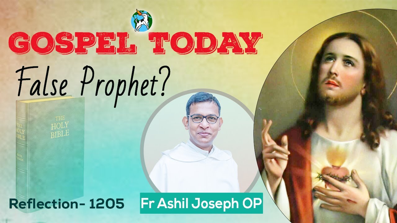 23/06/2021 Reflection 1205 (Fr Ashil Joseph OP on Matthew 7: 15-20)