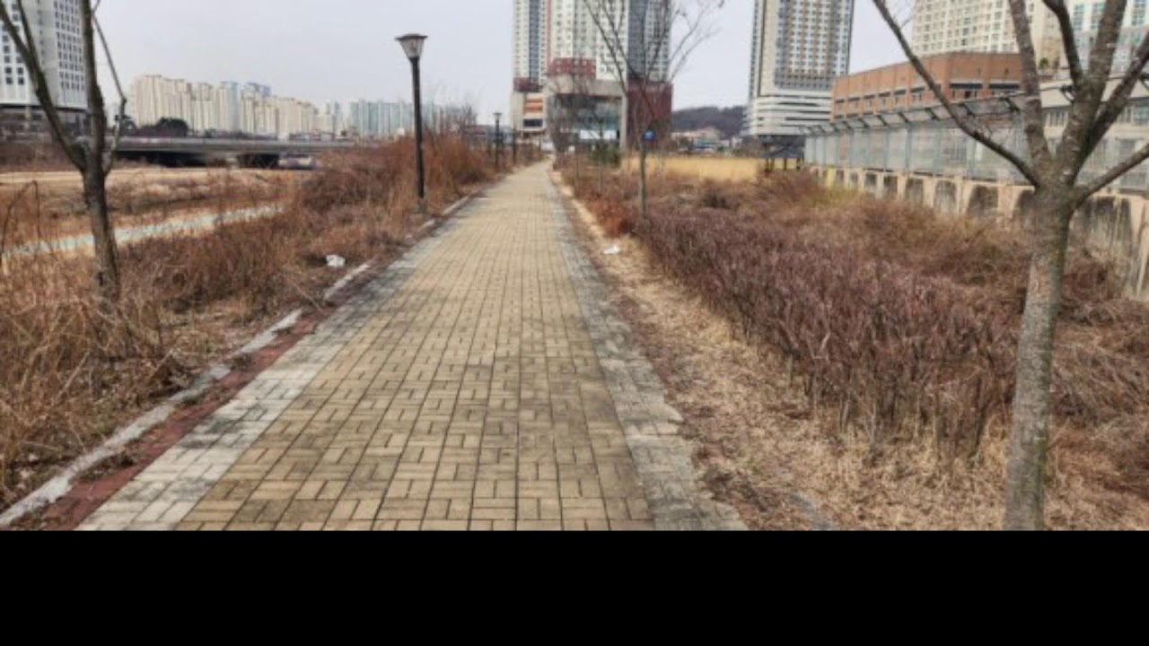 신입 1일차 방송