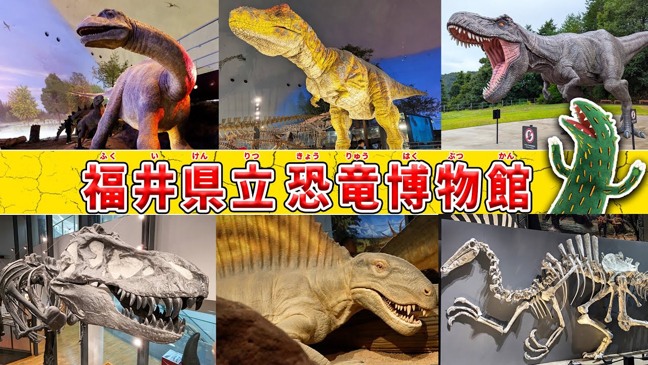 【恐竜クイズ】福井県立恐竜博物館にお出かけをイッキ見♪ティラノサウルスと化石発掘に挑戦！おまえうまそうだな