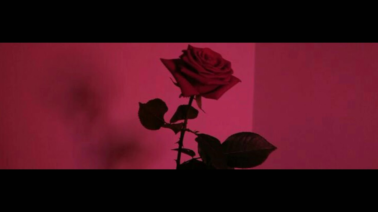 Ruelle - Monsters (Tradução)