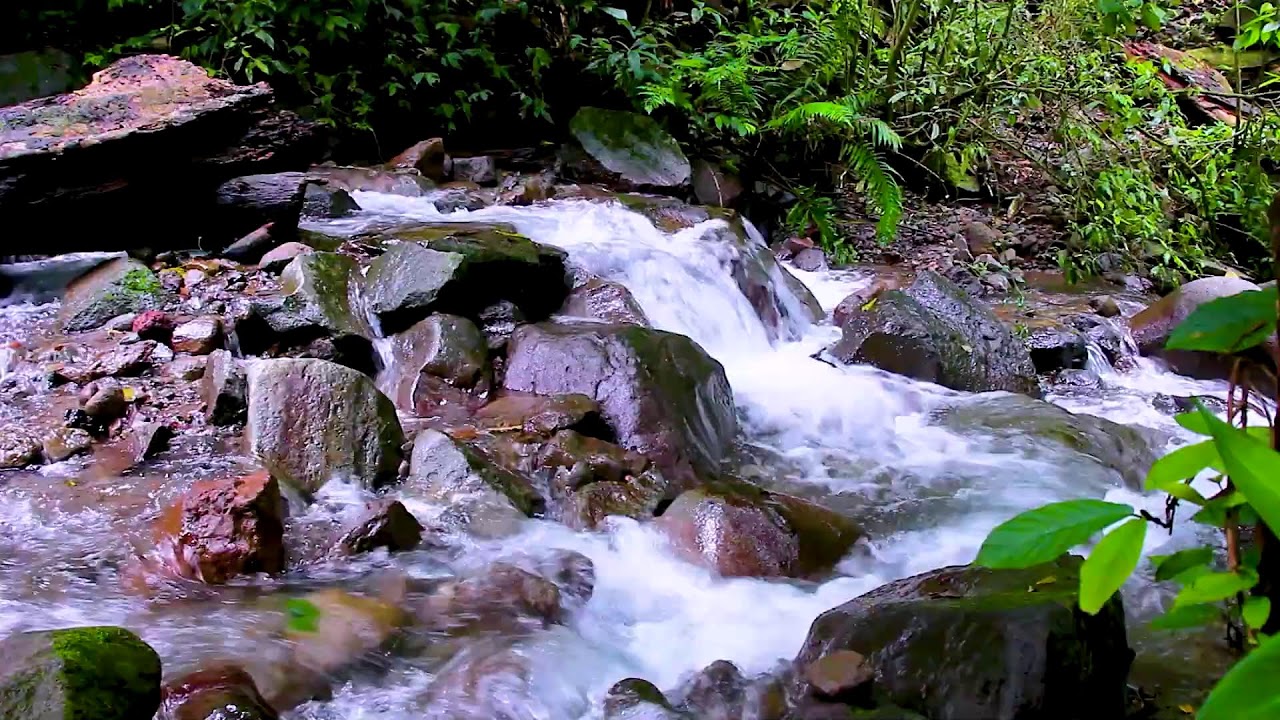Mountain River Flowing Water Sounds for Emotional Relaxation and Balance