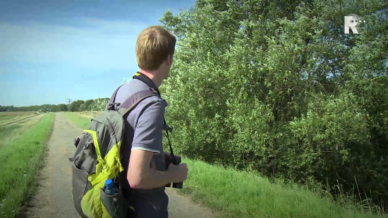 Meelopers dag - aflevering