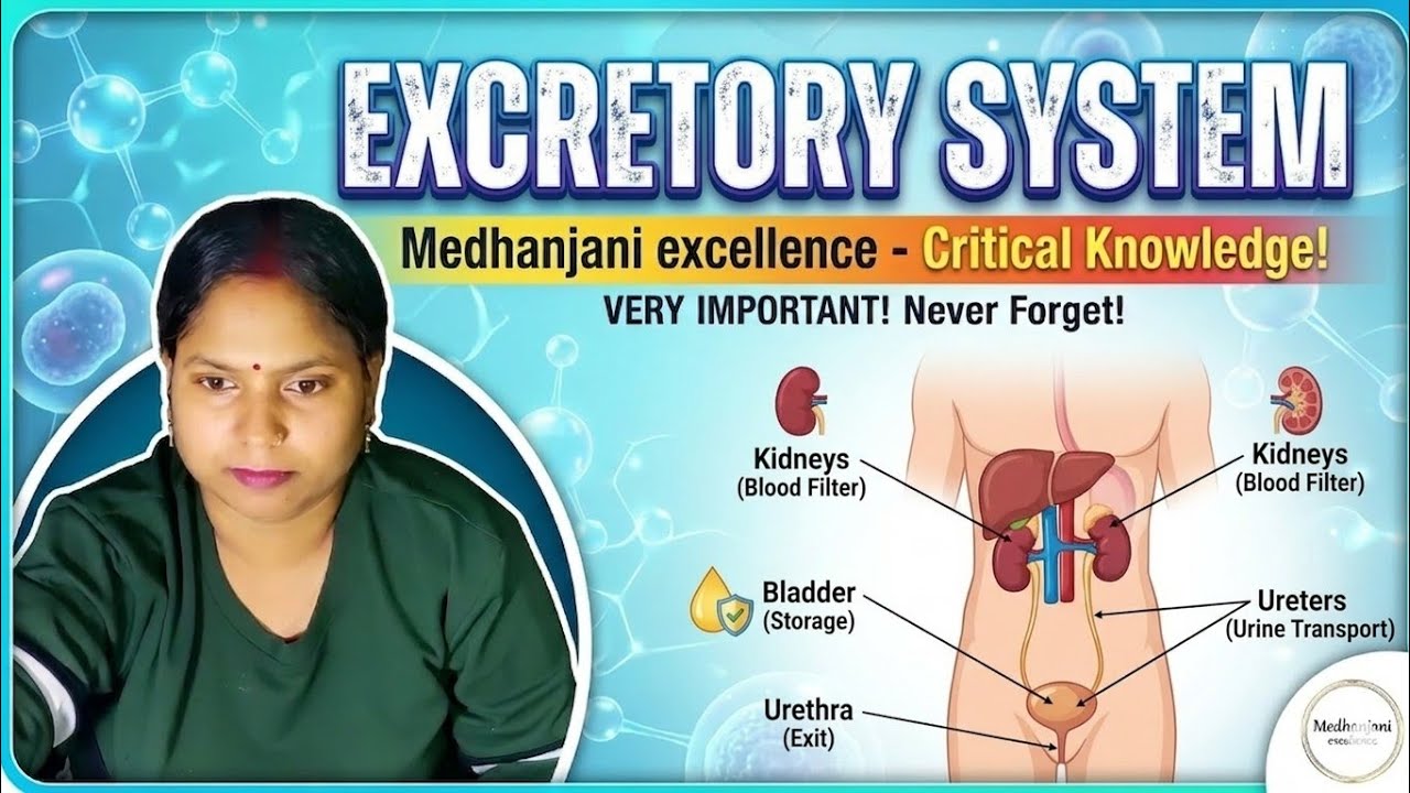 📚LIFE PROCESSES:EXCRETORY SYSTEM (CLASS 10th SCIENCE NCERT) BIOLOGY BULLET