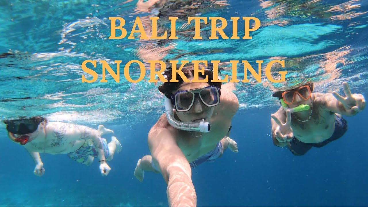 Exploring Bali's Hidden Underwater Paradise | BALI EP.5
