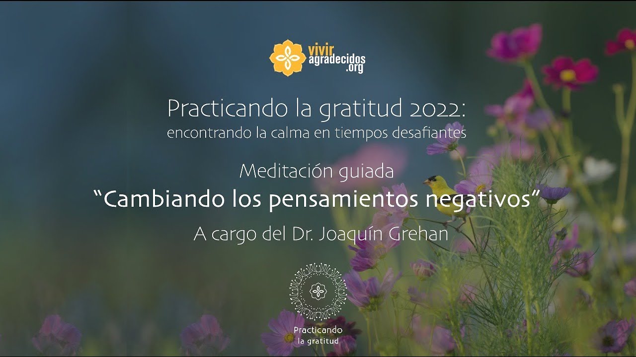Meditación guiada: 