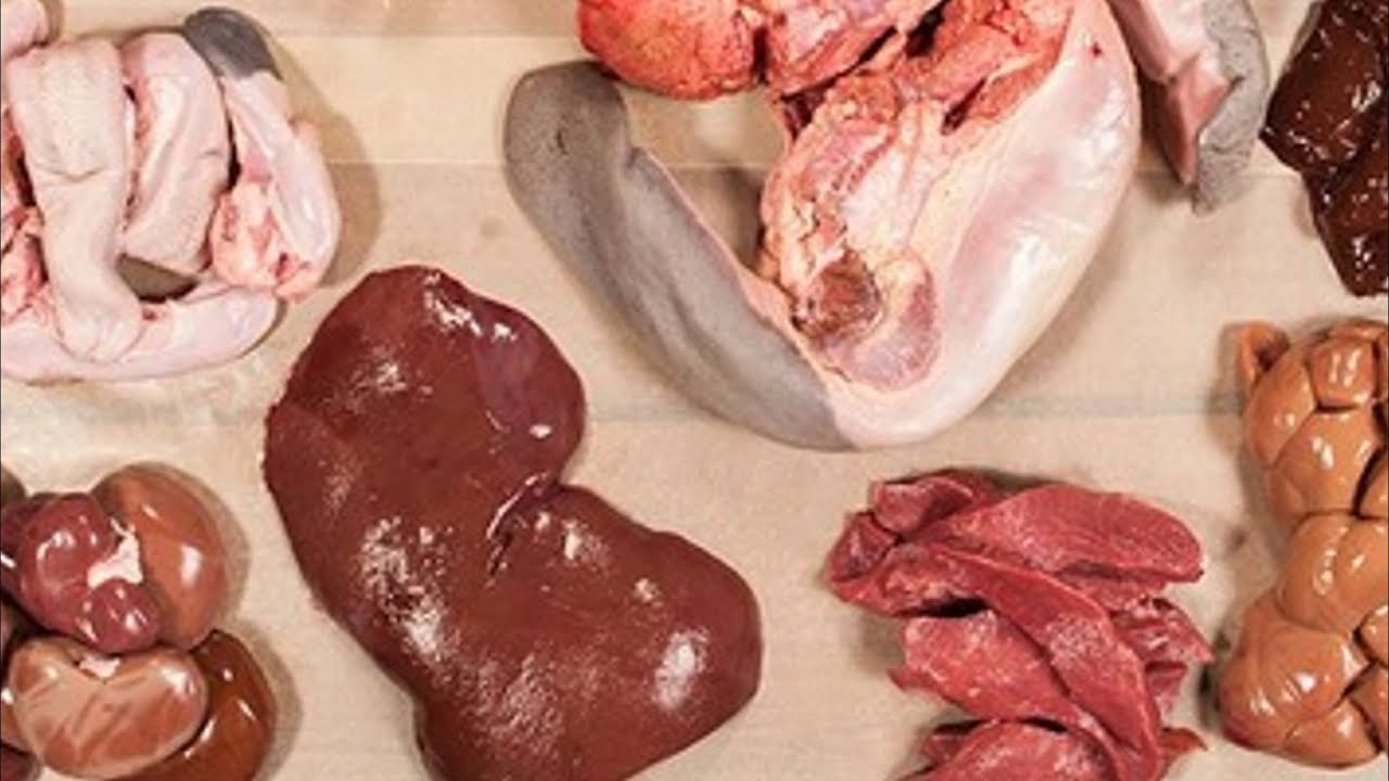 Organ Meat Nutrients Explained (ALL ORGANS)